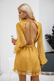 Backless Mesh Mini Dress