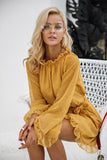 Backless Mesh Mini Dress