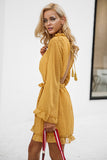 Backless Mesh Mini Dress