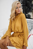 Backless Mesh Mini Dress