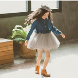 Vintage Puff Dress