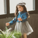 Vintage Puff Dress