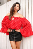 Flare Sleeve Applique Blouse