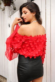 Flare Sleeve Applique Blouse