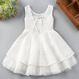 Lace Bow-tie Back Dress